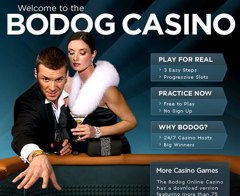 bodog